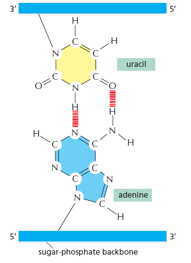 Figure 6-6.png